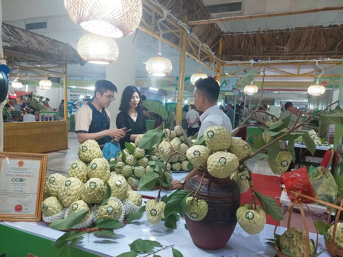Đưa hàng hoá Lạng Sơn vào siêu thị: Cánh cửa mở cho nông sản vùng cao
