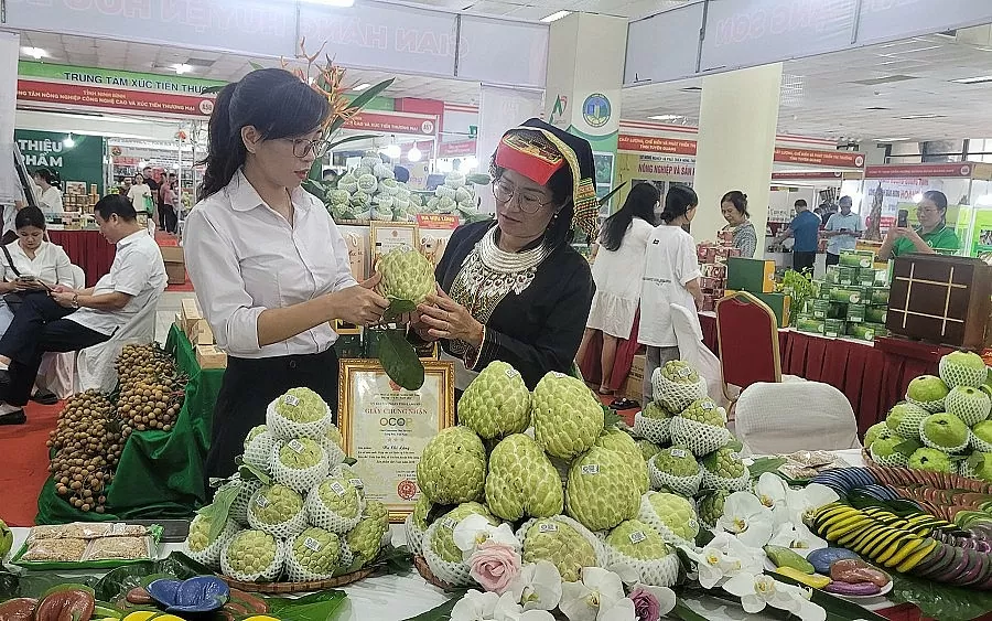 Đưa hàng hoá Lạng Sơn vào siêu thị: Cánh cửa mở cho nông sản vùng cao