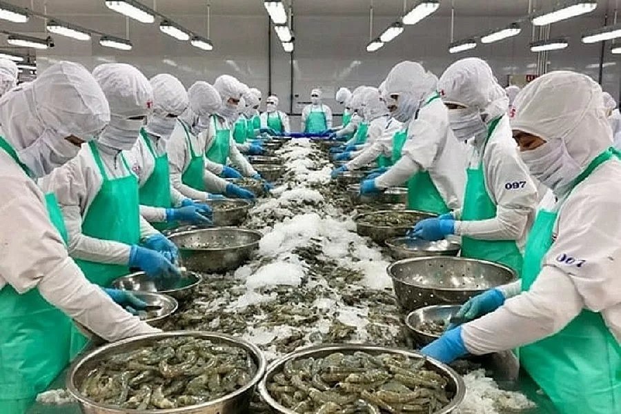 Xuất khẩu thủy sản 5 tháng đầu năm 2025 đạt 4,07 tỷ USD, tăng 14% so với cùng kỳ năm trước