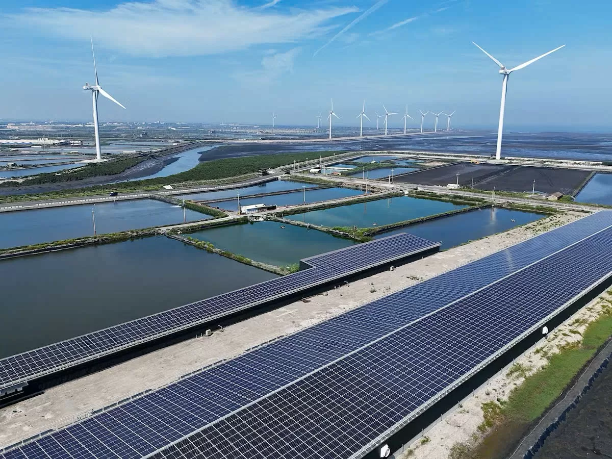 Theo báo cáo, năng lượng tái tạo được nhiều nhà đầu tư quan tâm vào năm 2025. Ảnh: Reuters