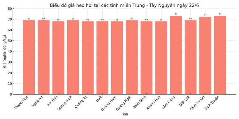 Biểu đồ giá heo hơi tại các tỉnh miền Trung - Tây Nguyên ngày 22/6.