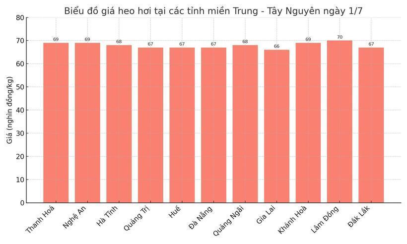 Biểu đồ giá heo hơi tại các tỉnh miền Trung - Tây Nguyên ngày 1/7.