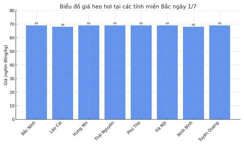 Biểu đồ giá heo hơi tại các tỉnh miền Bắc ngày 1/7.