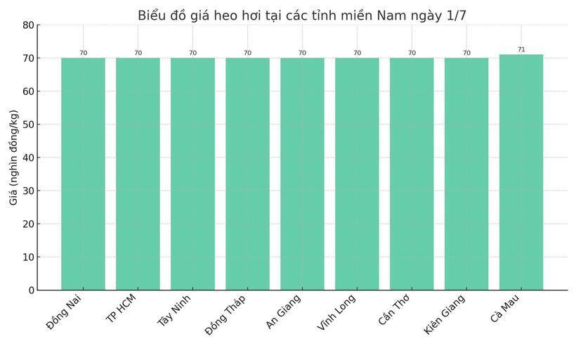Biểu đồ giá heo hơi tại các tỉnh miền Nam ngày 1/7.