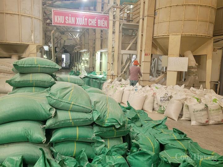 Sau sáp nhập, vùng sản xuất lúa gạo Đồng bằng sông Cửu Long có nhiều dư địa phát triển.