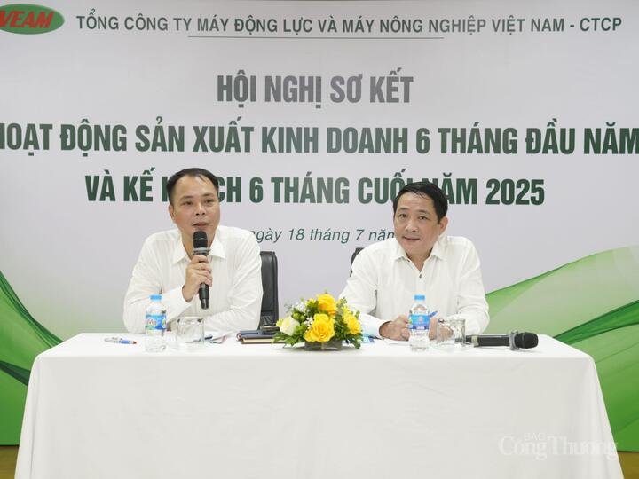 6 tháng đầu năm 2025 hoạt động sản xuất kinh doanh của VEAM tăng trưởng khả quan