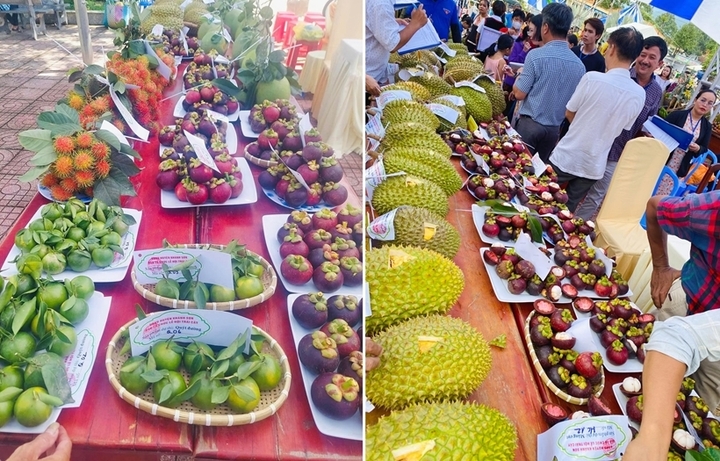 Khánh Hòa thúc đẩy sản xuất theo chuỗi giá trị, mở rộng kênh phân phối và liên kết thị trường, hướng tới tiêu thụ bền vững trái cây miền núi. Ảnh: SN.