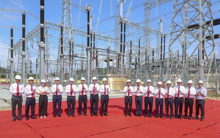 Các đại biểu tham gia nghi thức gắn biển công trình