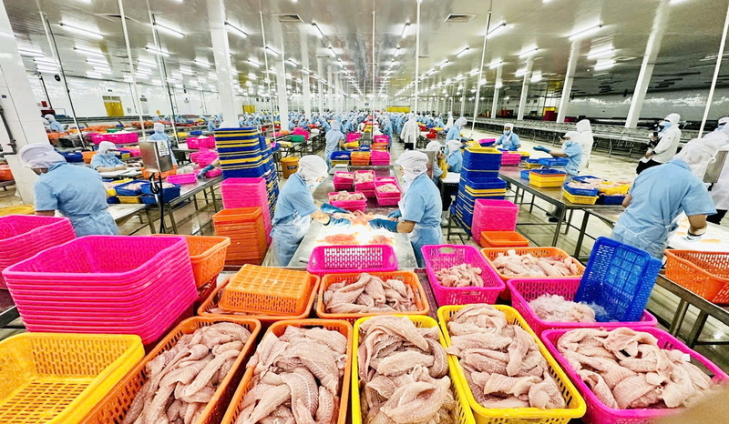 Xuất khẩu của Việt Nam sang EU đã tăng 56,4%, từ 31,1 tỷ USD lên gần 48,7 tỷ USD. Ảnh: Hải Hưng