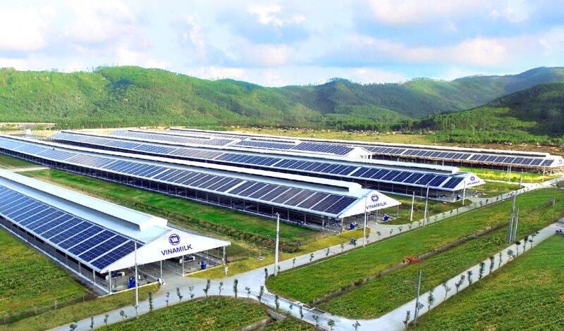 Hệ thống năng lượng mặt trời được lắp đặt tại trang trại Vinamilk Quảng Ngãi