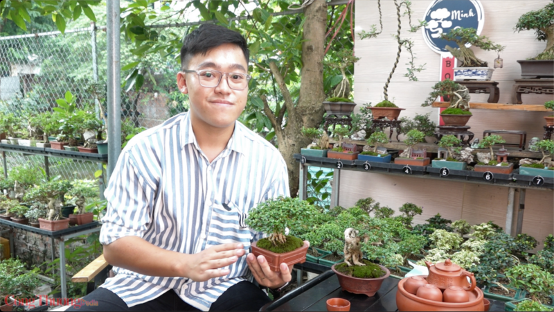 Anh Minh Quý - chủ vườn bonsai mini tại Việt Trì. Ảnh: Quỳnh Trang