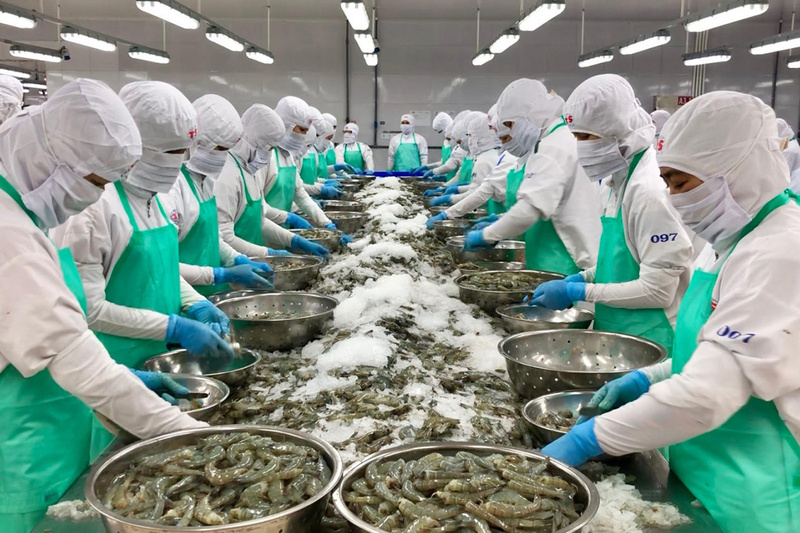 Dự báo cả năm 2025, xuất khẩu thủy sản có thể đạt khoảng 9 - 9,5 tỷ USD. Ảnh: Minh họa