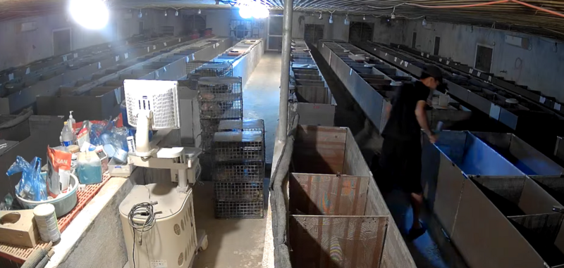 Mô hình nuôi dúi được đánh giá thân thiện với môi trường và cải thiện đời sống người dân. Ảnh: N.V