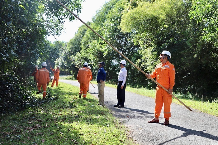 Công nhân Điện lực Hà Tĩnh phát quang hành lang an toàn lưới điện, ứng phó bão số 5. Ảnh: Cao Thảo
