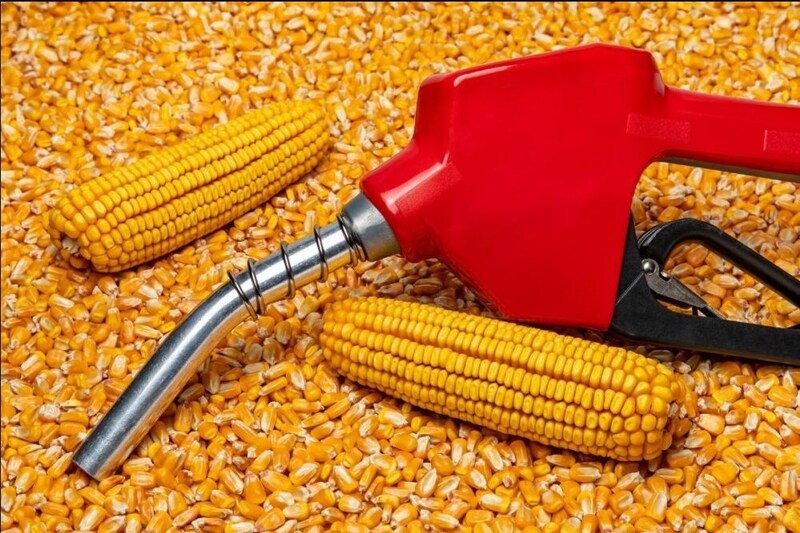 Chuyên gia Brazil nhận định ethanol từ ngô vụ thứ 2 của Brazil hội tụ nhiều đặc tính phù hợp với bối cảnh Việt Nam. Ảnh minh hoạ