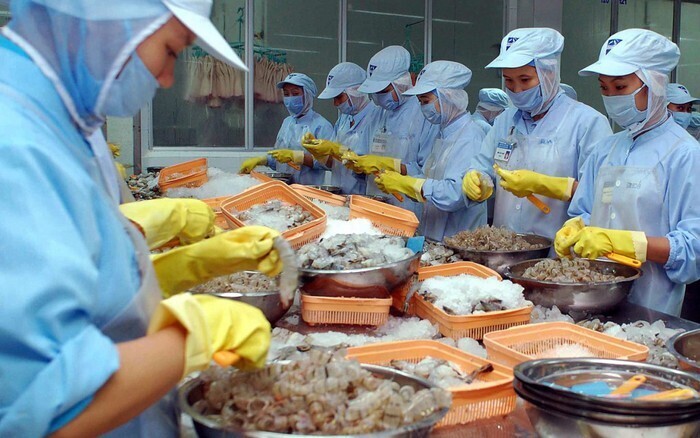 8 tháng năm 2025, tổng kim ngạch xuất nhập khẩu đạt 597,93 tỷ USD. Ảnh: Khánh Ngân