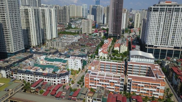 ngau-1.jpg