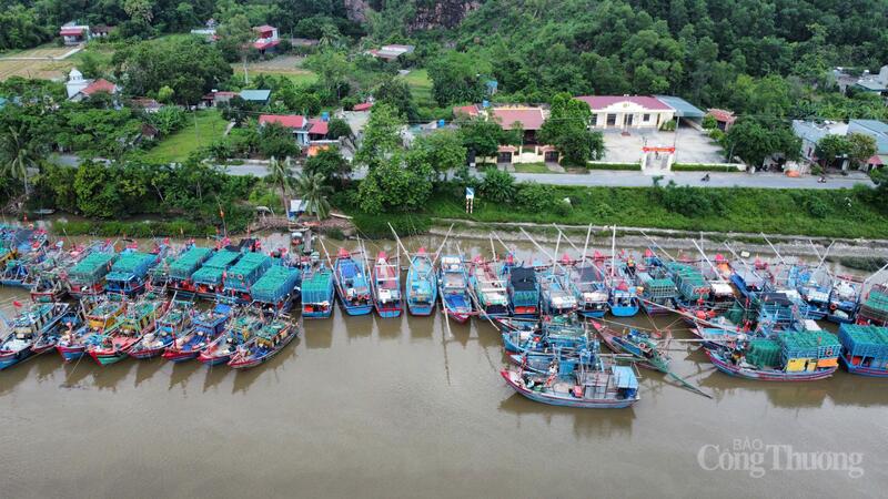 Tàu thuyền được hướng dẫn neo đậu, tránh trú an toàn.