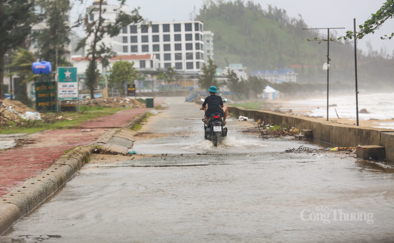 Cơ quan khí tượng nhận định đây là một cơn bão rất mạnh, dự báo gió mạnh trên đất liền có khả năng tương đương hoặc lớn hơn cơn bão số 5 (Kajiki) đổ bộ vào Hà Tĩnh.
