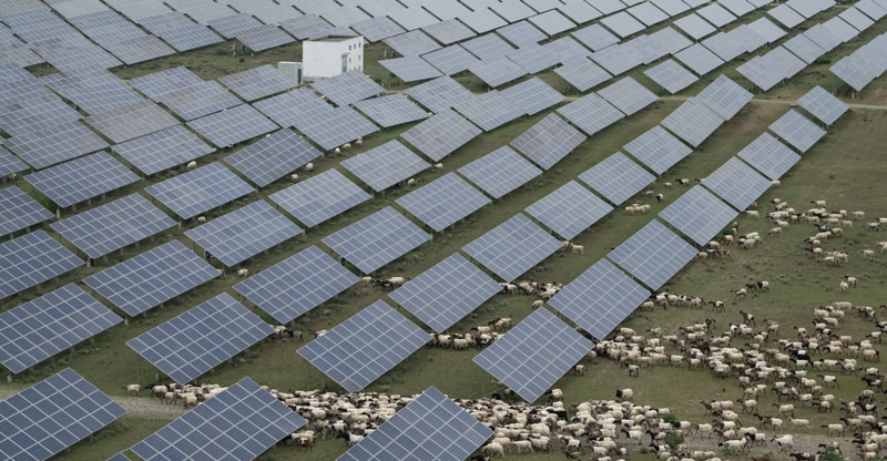 Trung Quốc mở rộng quy mô về năng lượng tái tạo. Ảnh: Euronews