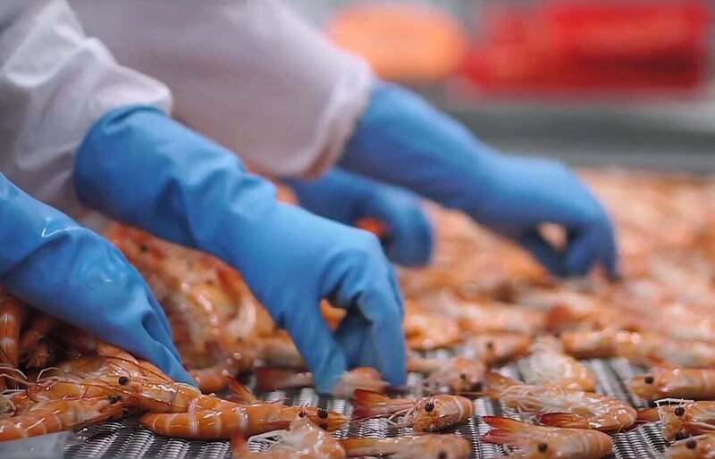 Nhờ ưu đãi thuế quan, CPTPP đang mở ra thời điểm vàng cho doanh nghiệp trong nước đẩy mạnh xuất khẩu sang Mexico. Ảnh: Thành Trung