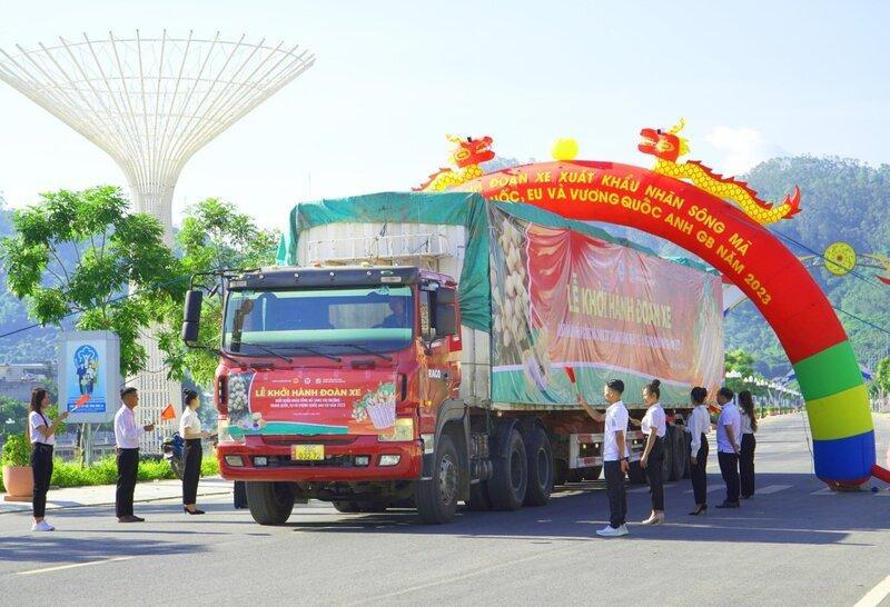 Giai đoạn 2021 - 2025, Bộ Công Thương tổ chức nhiều hội thảo, tọa đàm về quy tắc xuất xứ, giúp doanh nghiệp tận dụng tốt hơn UKVFTA. Ảnh: Khánh An