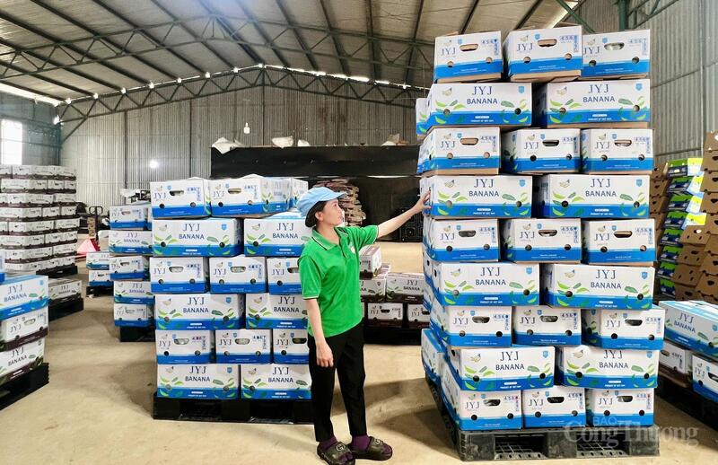 Nông sản phục vụ xuất khẩu tại Công ty Cổ phần Chăn nuôi Gia Lai. Ảnh: Hiền Mai