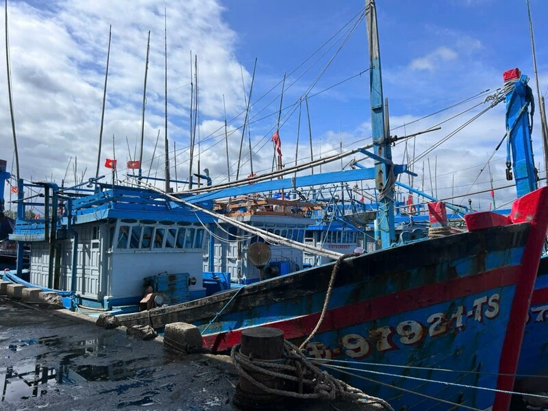 Tính đến 15 giờ ngày 5/11, 286 tàu với 1.602 ngư dân của tỉnh đã neo đậu an toàn tại các đảo thuộc quần đảo Trường Sa.