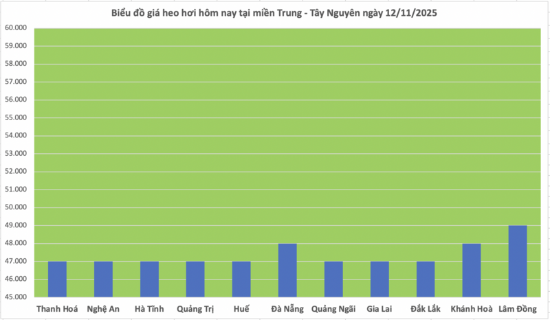 Giá heo hơi hôm nay 12/11/2025: Tiếp tục giảm nhẹ nhiều nơi - 2