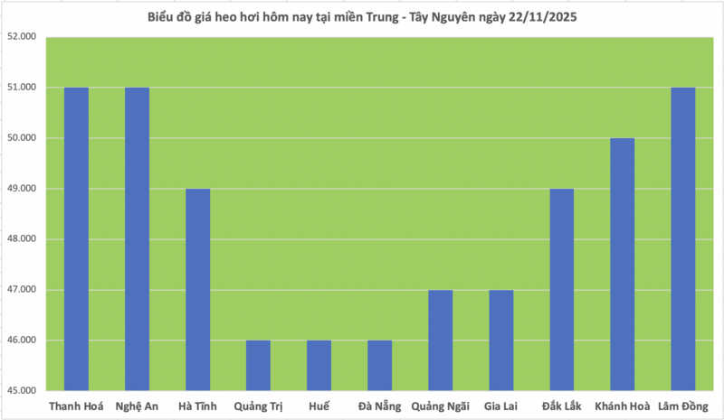 Giá heo hơi hôm nay 22/11/2025: Tiếp đà tăng giá - 2