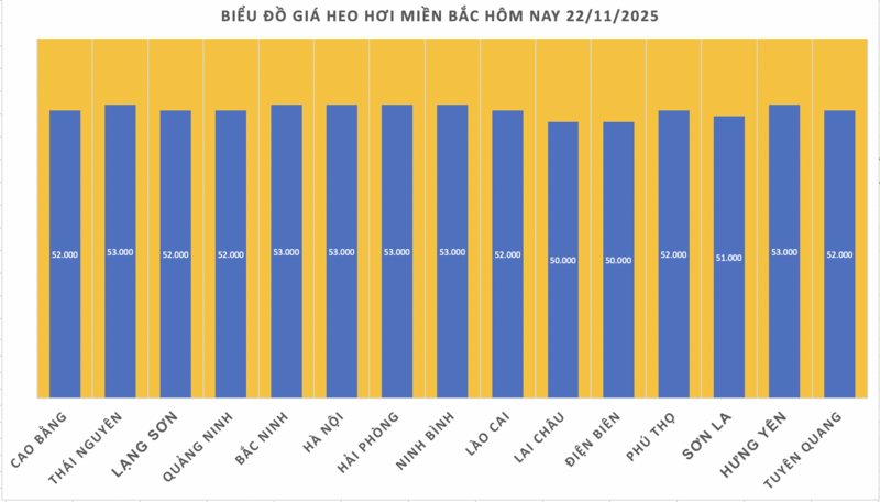 Giá heo hơi hôm nay 22/11/2025: Tiếp đà tăng giá - 1