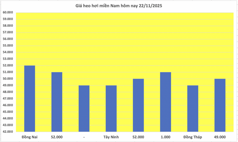 Giá heo hơi hôm nay 22/11/2025: Tiếp đà tăng giá - 3