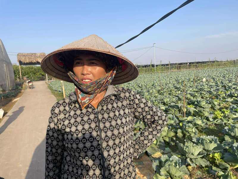 Bà Đinh Thị Duyên chia sẻ về diện tích rau lớn bị mất mùa sau mưa.