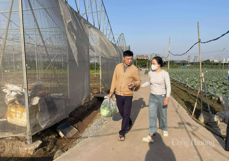 Người dân xã lân cận tranh thủ tới "vựa rau" để mua được giá gốc.