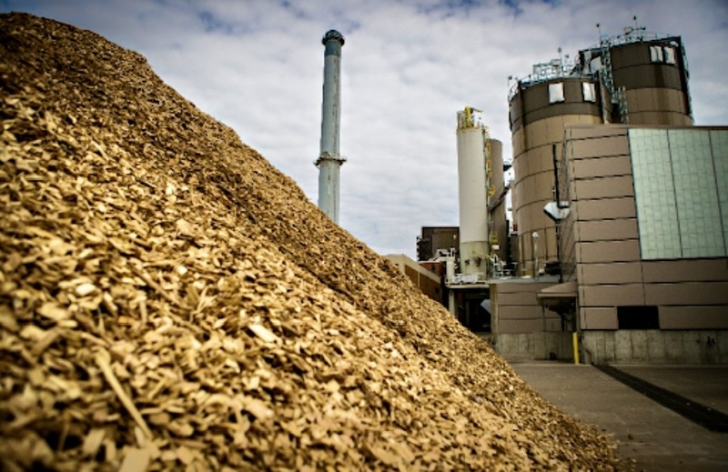 An Giang vừa phê duyệt chủ trương đầu tư Nhà máy điện sinh khối An Giang 1 công suất 50MW, tổng vốn 2.930 tỷ đồng.