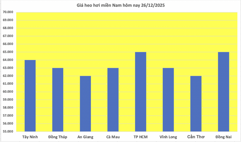 Giá heo hơi hôm nay 26/12/2025: Biến động trái chiều - 3