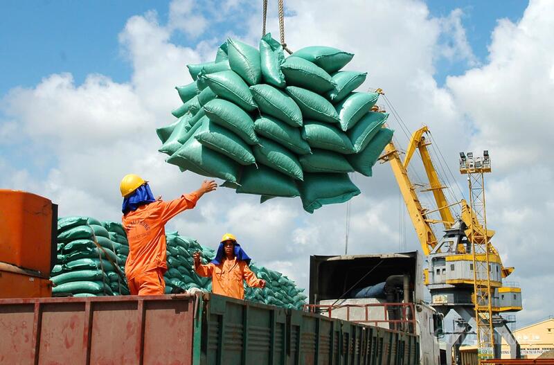 Bộ Công Thương đã triển khai hàng loạt giải pháp tháo gỡ khó khăn cho hoạt động xuất khẩu gạo (Ảnh: Cấn Dũng)