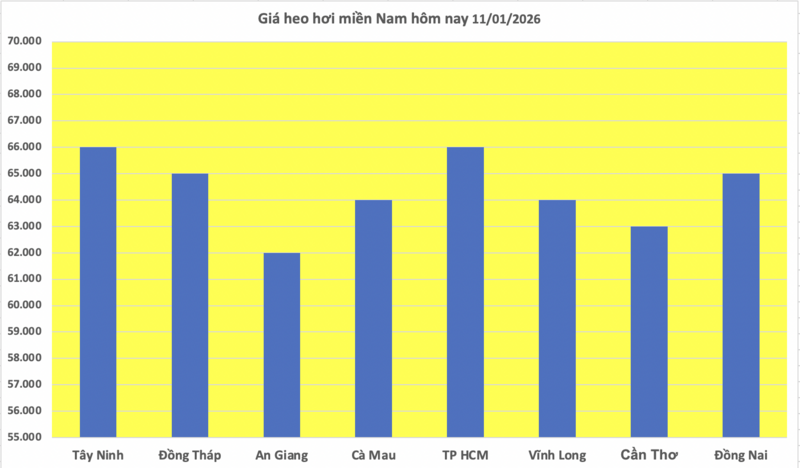 Giá heo hơi hôm nay 11/1/2026: Tiếp đà neo cao - 3