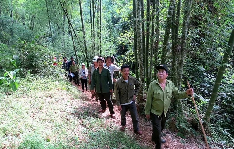 Để khai thác lợi thế thiên nhiên ban tặng, xã Tam Thanh xác định hướng đi chủ lực là sản xuất lâm nghiệp để nâng cao thu nhập cho người dân nơi đây. Ảnh: Thu Hòa