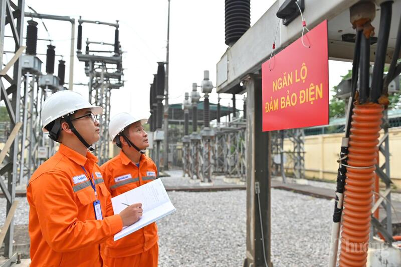 Cơ chế DPPA tại Nghị quyết 253 đã mở rộng đối tượng và quyền tự thỏa thuận giá giữa hai bên mua-bán. Ảnh: Nam Nguyễn