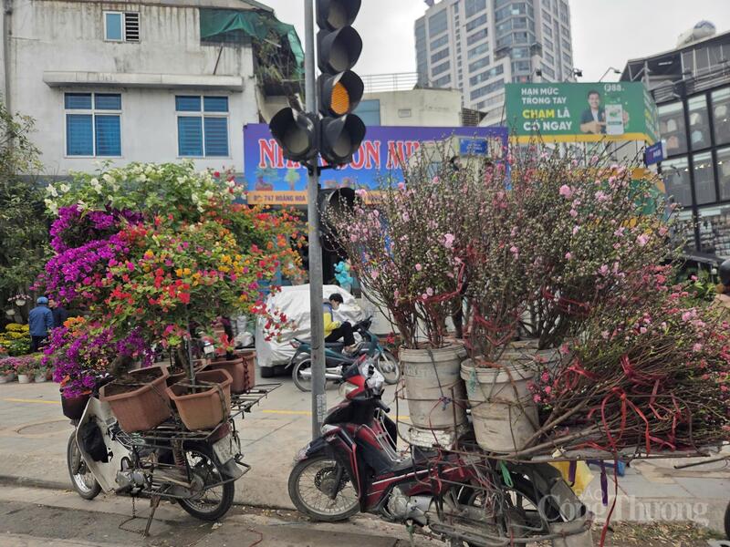 Những chiếc xe máy chở hoa rực rỡ sắc màu, tạo nên bức tranh đặc trưng của thị trường hoa Tết.