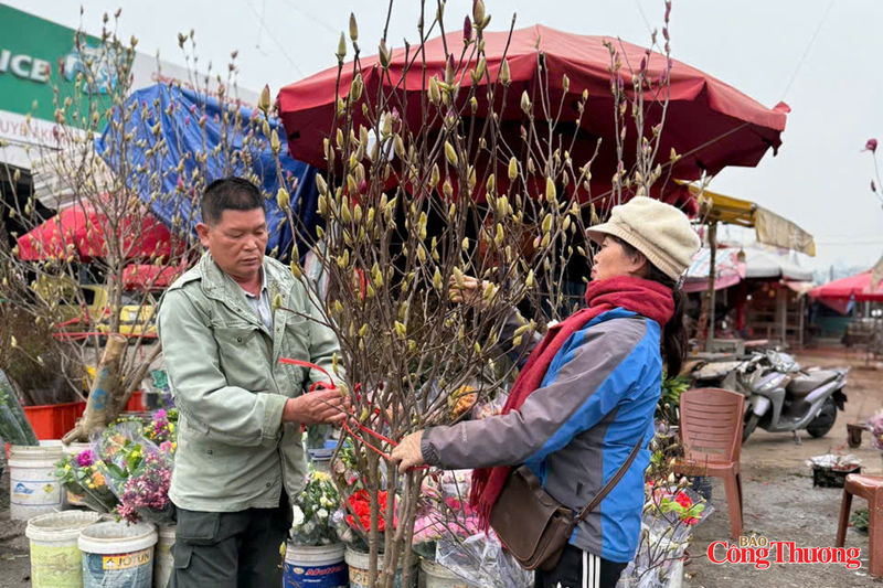 Loại hoa này cần ít nhất 7-10 ngày để nở bung nhưng mộc lan được nhiều người nhận xét thời gian nở khá lâu nên phù hợp với giá cả trên thị trường. Ảnh: Nguyễn Thanh