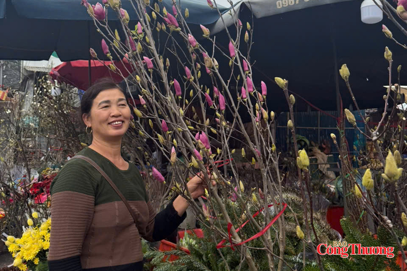 Hoa mộc lan nhập khẩu được ưa chuộng dịp tết Bính Ngọ 2026. Ảnh: Nguyễn Thanh