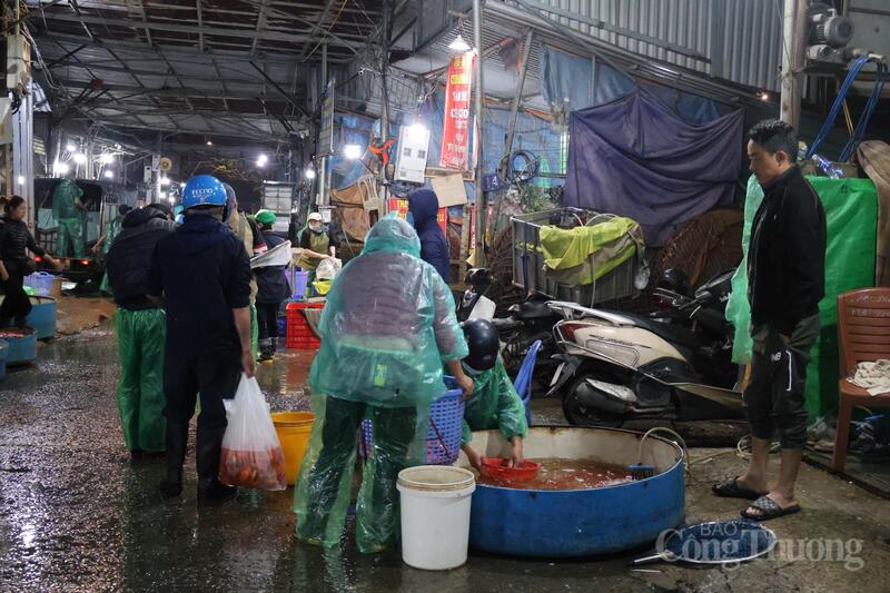 Nguồn cá lấy từ nhiều nơi như Hải Phòng, Ninh Bỉnh… và phải đặt trước hàng tháng mới có hàng.