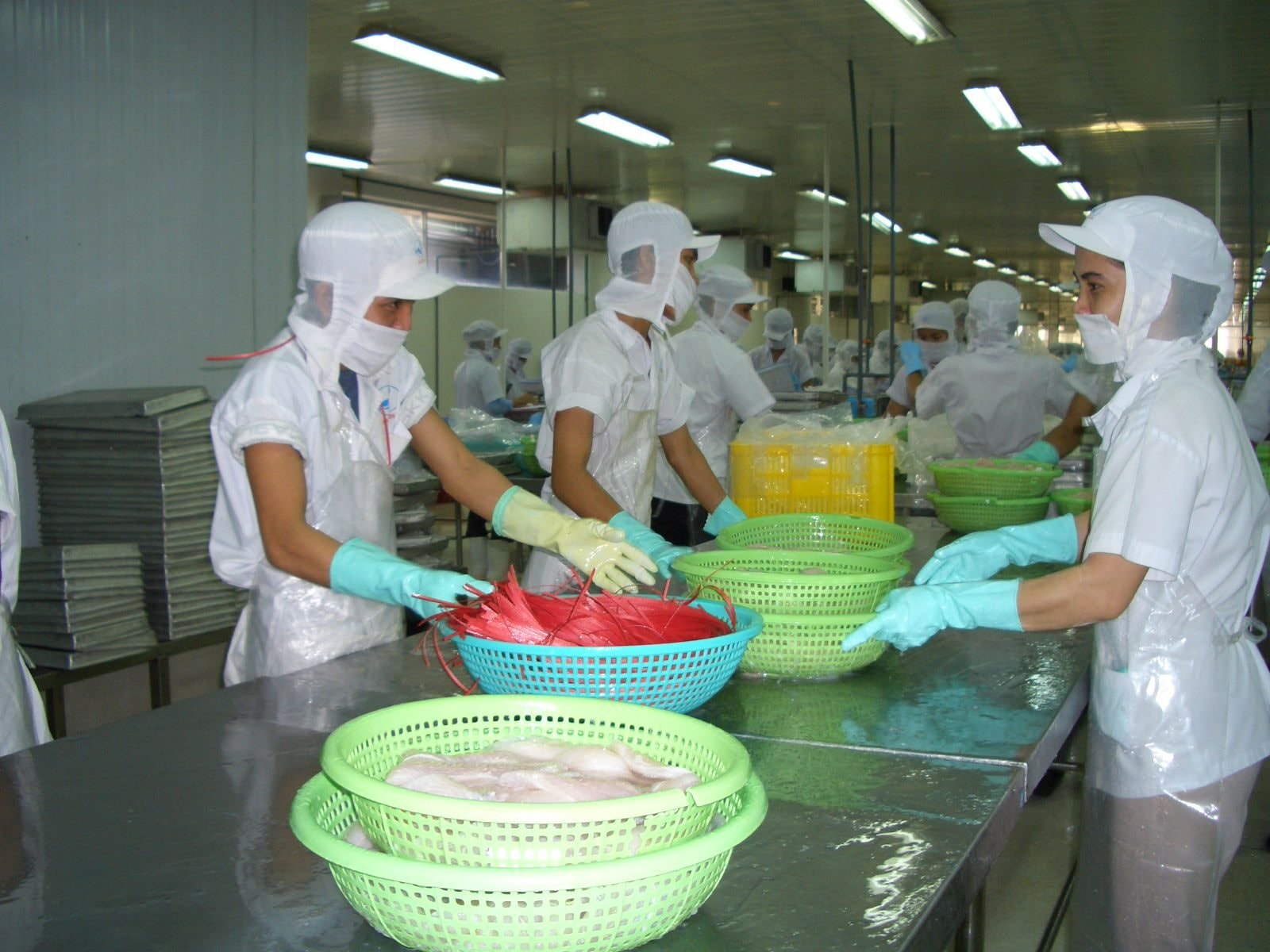 san-xuat-theo-tieu-chuan-iso-9001haccp-2000.jpg