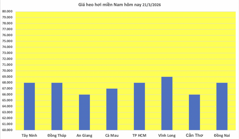 Giá heo hơi hôm nay 21/3/2026: Tăng rải rác nhiều nơi - 3