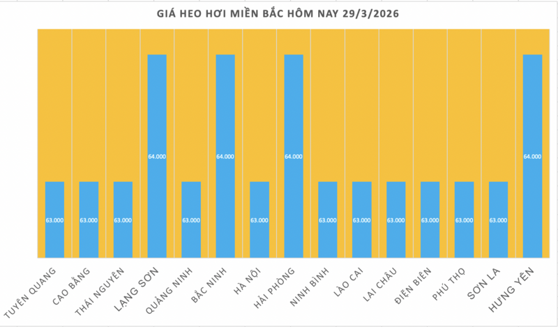 Giá heo hơi hôm nay 29/3/2026: Đi ngang - 1