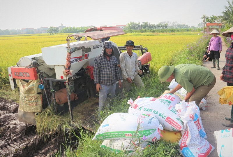 Tính đến giữa tháng 4/2026, xuất khẩu gạo giảm 10,5% về giá trị so với cùng kỳ năm ngoái. Ảnh: N.H