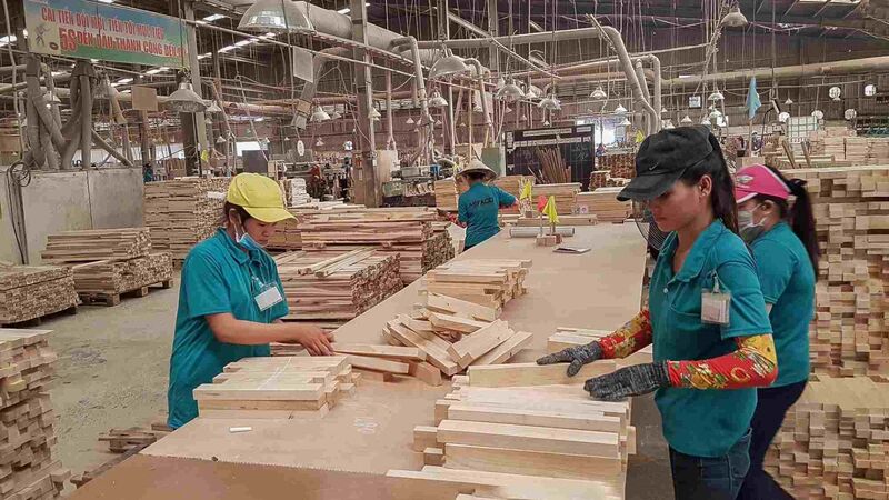 Quy định EUDR đang từng bước đi vào thực thi, yêu cầu về truy xuất nguồn gốc đến cấp lô trồng trở thành một trong những thách thức lớn nhất đối với các ngành hàng nông lâm sản của Việt Nam. Ảnh minh họa