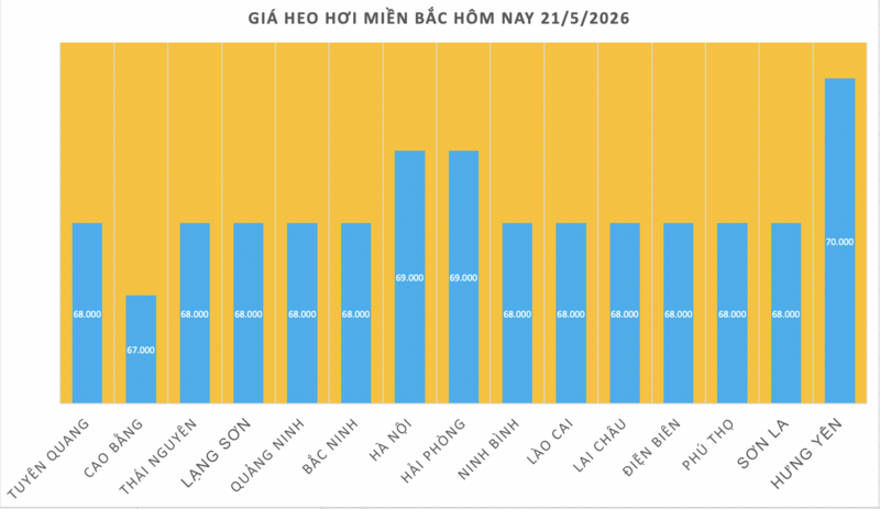 Giá heo hơi hôm nay 21/5/2026: Tăng đồng loạt trên cả nước - 1